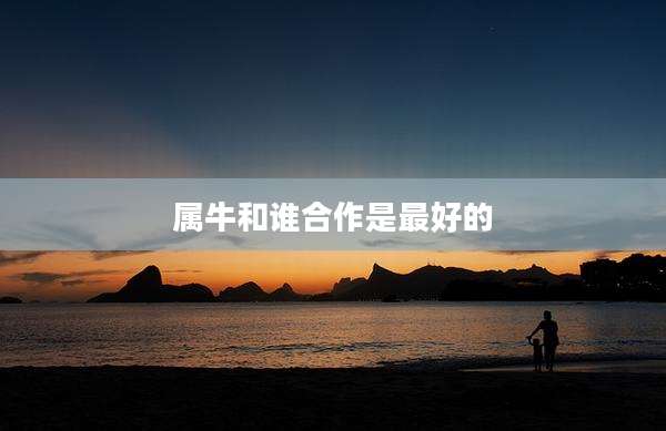 属牛和谁合作是最好的
