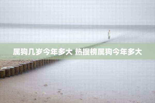 属狗几岁今年多大 热搜榜属狗今年多大