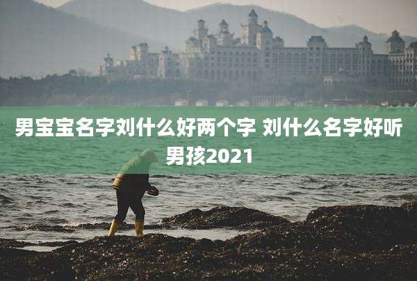 男宝宝名字刘什么好两个字 刘什么名字好听男孩2021