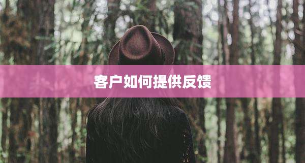 客户如何提供反馈