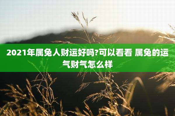 2021年属兔人财运好吗?可以看看 属兔的运气财气怎么样