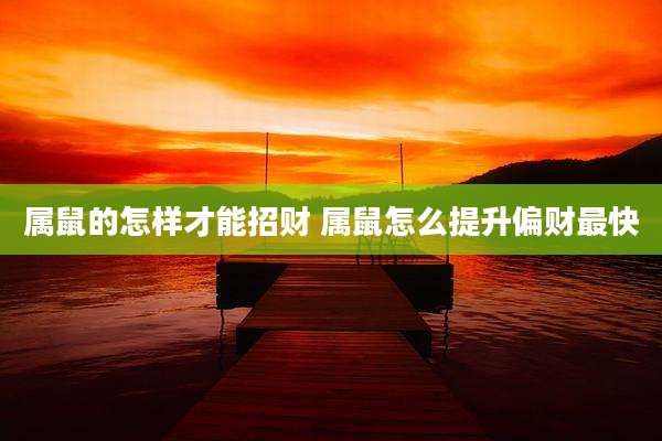 属鼠的怎样才能招财 属鼠怎么提升偏财最快