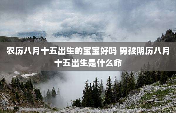 农历八月十五出生的宝宝好吗 男孩阴历八月十五出生是什么命
