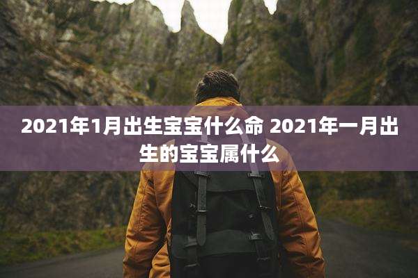2021年1月出生宝宝什么命 2021年一月出生的宝宝属什么