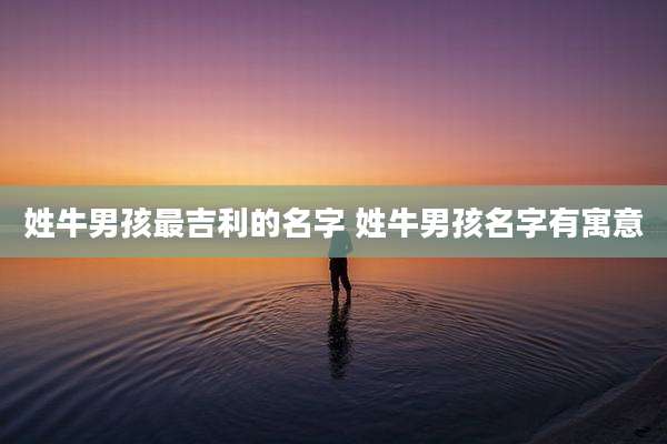 姓牛男孩最吉利的名字 姓牛男孩名字有寓意