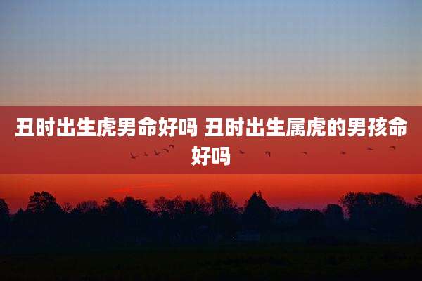 丑时出生虎男命好吗 丑时出生属虎的男孩命好吗