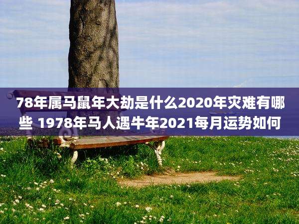 78年属马鼠年大劫是什么2020年灾难有哪些 1978年马人遇牛年2021每月运势如何