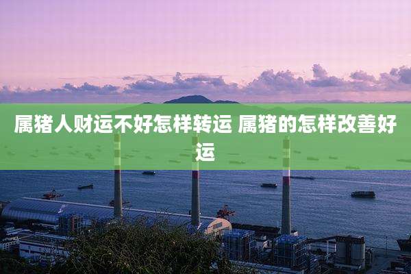属猪人财运不好怎样转运 属猪的怎样改善好运