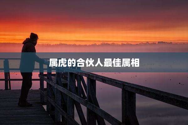 属虎的合伙人最佳属相