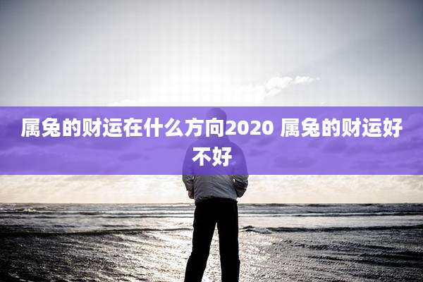 属兔的财运在什么方向2020 属兔的财运好不好