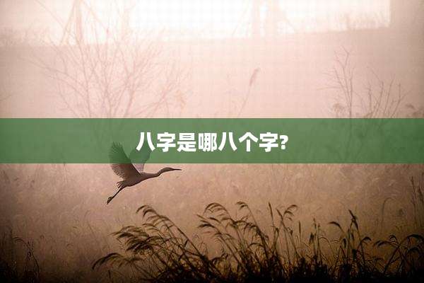 八字是哪八个字?