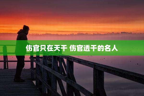 伤官只在天干 伤官透干的名人
