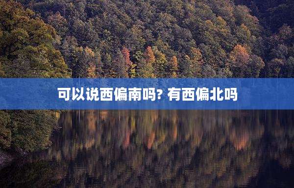 可以说西偏南吗? 有西偏北吗