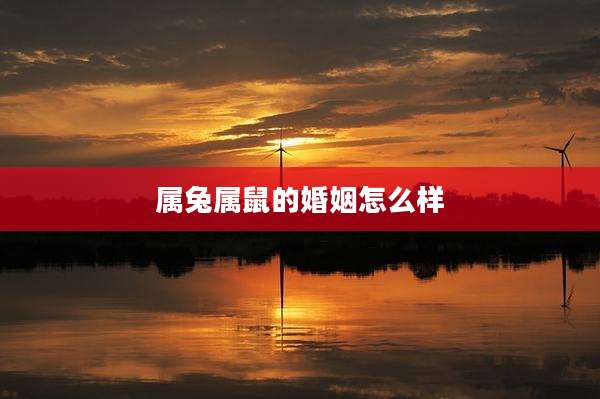 属兔属鼠的婚姻怎么样