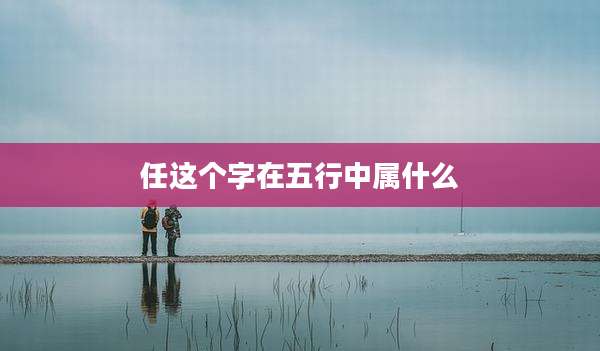 任这个字在五行中属什么