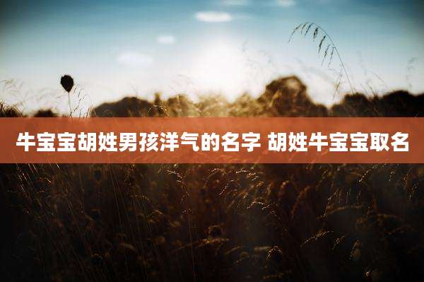 牛宝宝胡姓男孩洋气的名字 胡姓牛宝宝取名