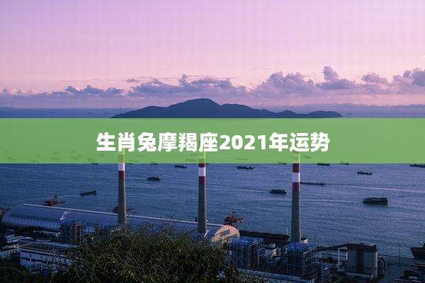 生肖兔摩羯座2021年运势