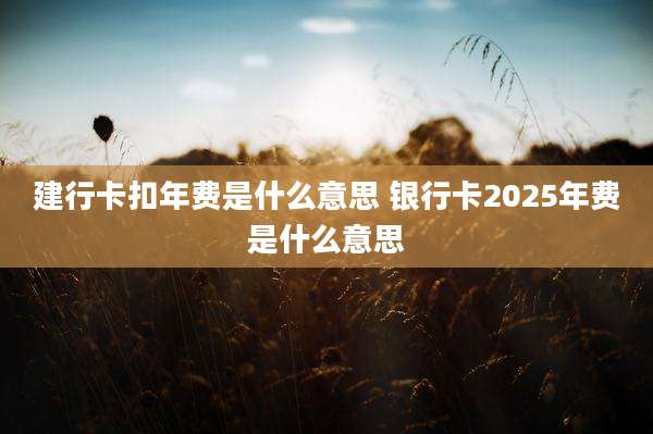 建行卡扣年费是什么意思 银行卡2025年费是什么意思