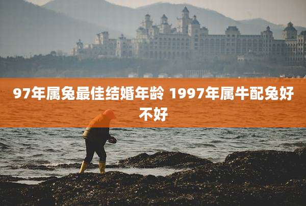 97年属兔最佳结婚年龄 1997年属牛配兔好不好