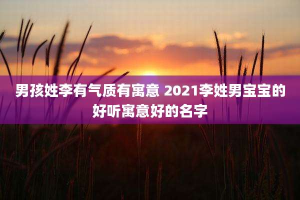 男孩姓李有气质有寓意 2021李姓男宝宝的好听寓意好的名字