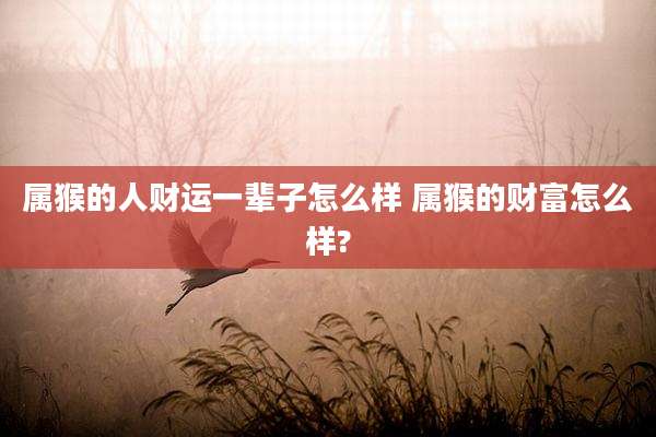 属猴的人财运一辈子怎么样 属猴的财富怎么样?
