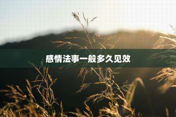 感情法事一般多久见效