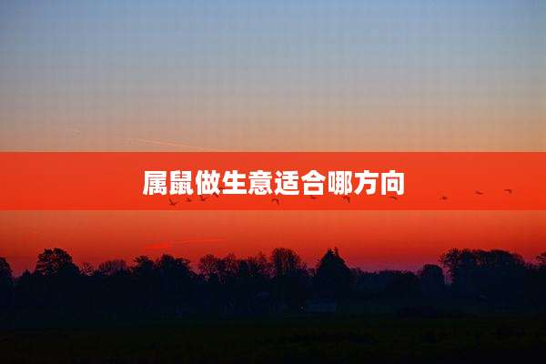 属鼠做生意适合哪方向