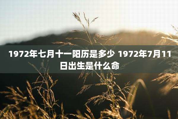 1972年七月十一阳历是多少 1972年7月11日出生是什么命