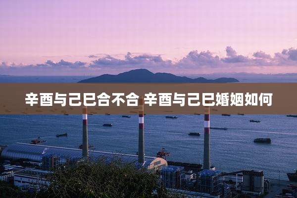 辛酉与己巳合不合 辛酉与己巳婚姻如何