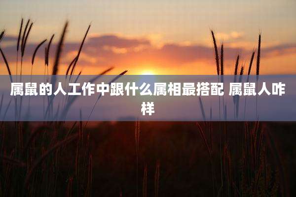 属鼠的人工作中跟什么属相最搭配 属鼠人咋样