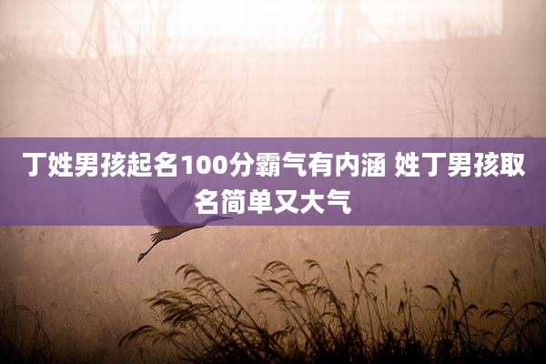 丁姓男孩起名100分霸气有内涵 姓丁男孩取名简单又大气