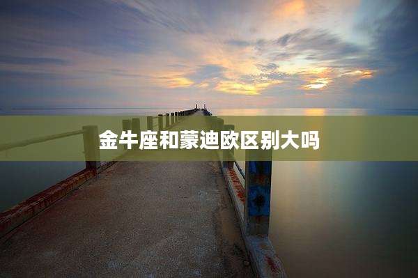 金牛座和蒙迪欧区别大吗