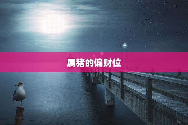 属猪的偏财位