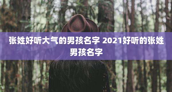 张姓好听大气的男孩名字 2021好听的张姓男孩名字