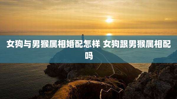 女狗与男猴属相婚配怎样 女狗跟男猴属相配吗