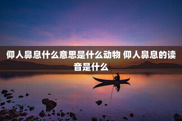 仰人鼻息什么意思是什么动物 仰人鼻息的读音是什么