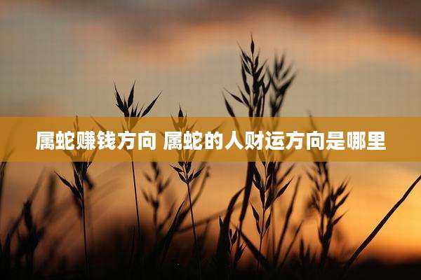 属蛇赚钱方向 属蛇的人财运方向是哪里