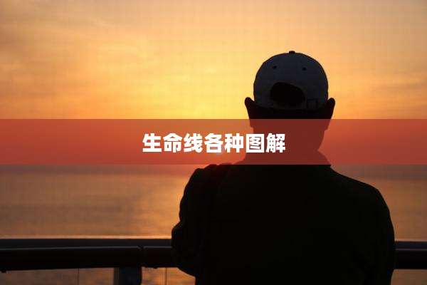 生命线各种图解