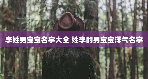 李姓男宝宝名字大全 姓李的男宝宝洋气名字