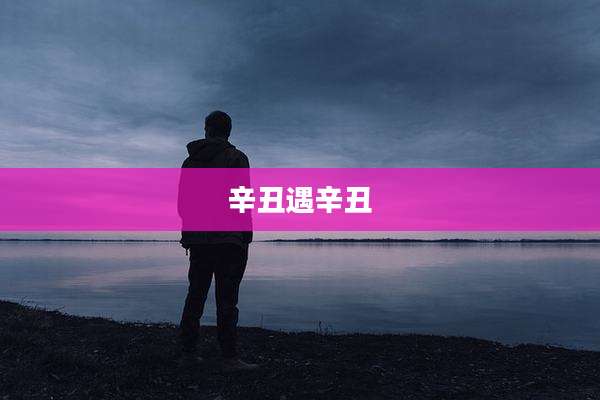 辛丑遇辛丑