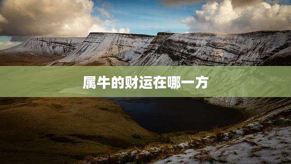 属牛的财运在哪一方