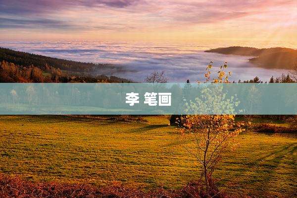 李 笔画