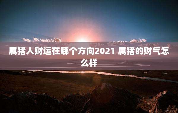 属猪人财运在哪个方向2021 属猪的财气怎么样
