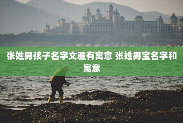 张姓男孩子名字文雅有寓意 张姓男宝名字和寓意