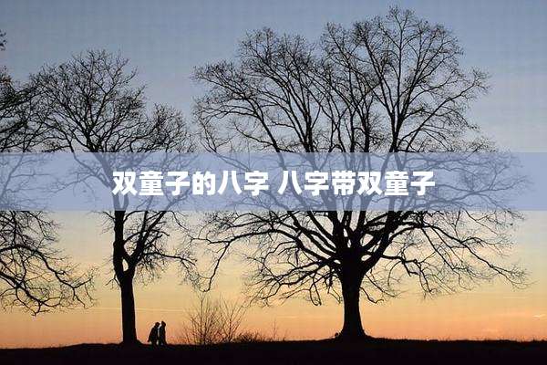 双童子的八字 八字带双童子