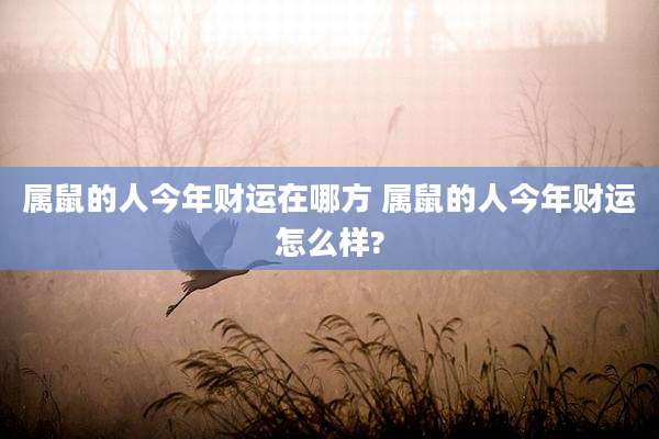 属鼠的人今年财运在哪方 属鼠的人今年财运怎么样?