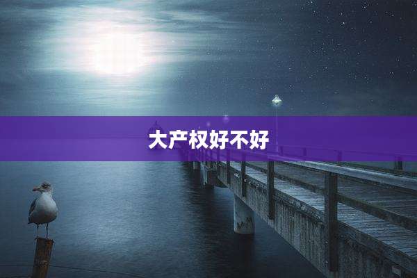 大产权好不好