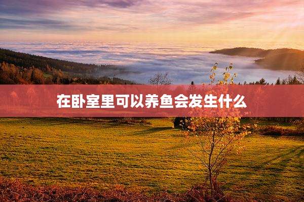 在卧室里可以养鱼会发生什么