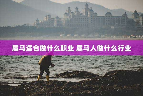 属马适合做什么职业 属马人做什么行业