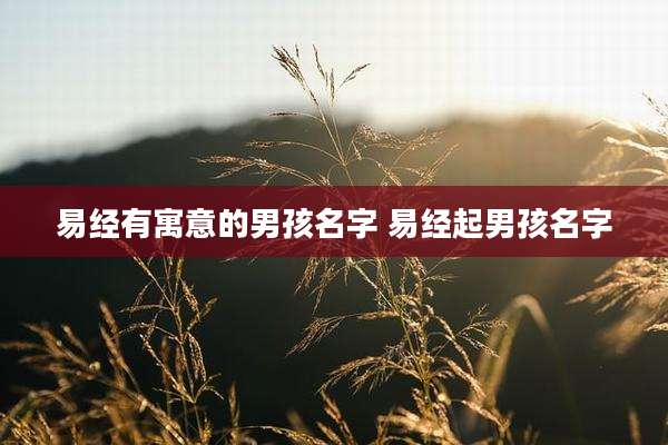 易经有寓意的男孩名字 易经起男孩名字